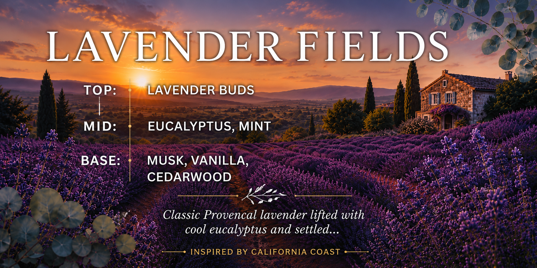Lavender Fields